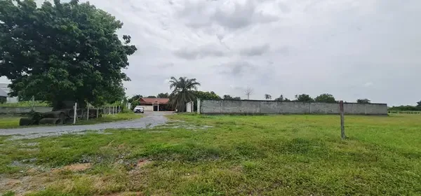 155 sqw plot close to phoenix golf course huay yai land property for s 02