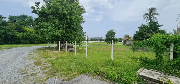 155 sqw plot close to phoenix golf course huay yai land property for s 04