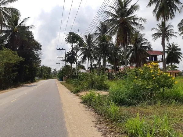 3 rai in fast growing area of pong pattaya east east pattaya land prop 01