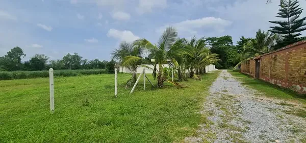 1,560 m² land plot for sale near Phoenix Golf Course in Huay Yai