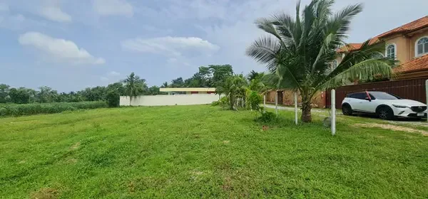 390 tw close to phoenix golf course only 12500 bahtsqw huay yai land p 02