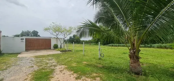 390 tw close to phoenix golf course only 12500 bahtsqw huay yai land p 03