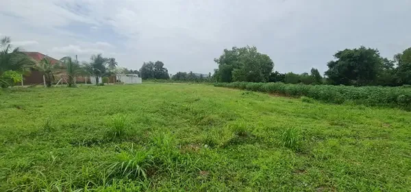 390 tw close to phoenix golf course only 12500 bahtsqw huay yai land p 04