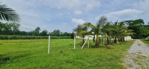 390 tw close to phoenix golf course only 12500 bahtsqw huay yai land p 05
