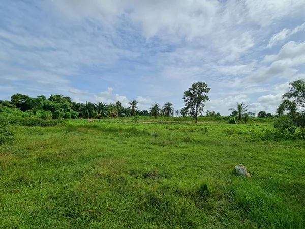 85 rai located in chark ngaew chark ngaew land land property for sale 01