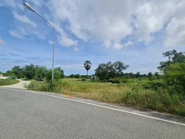 85 rai located in chark ngaew chark ngaew land land property for sale 02