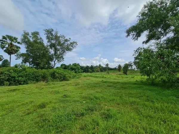 85 rai located in chark ngaew chark ngaew land land property for sale 03