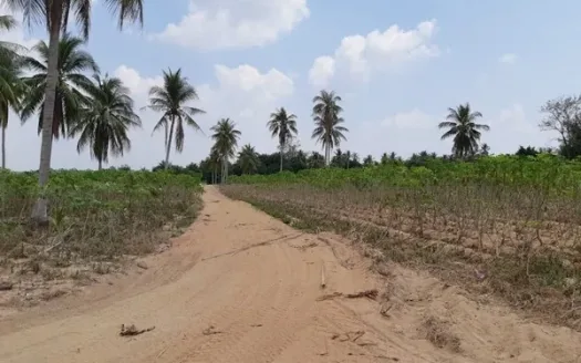 15,800 m² Land for Sale in Huay Yai, Pattaya